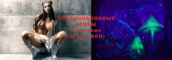 каннабис Арсеньев