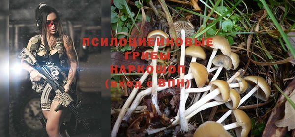 кокс Баксан