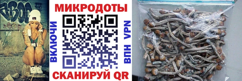 KRAKEN вход  Солигалич  Галлюциногенные грибы Psilocybe 